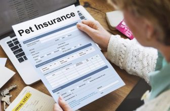 15 Best Pet Insurance Plans in New Mexico in 2022 – Reviews & Top Picks